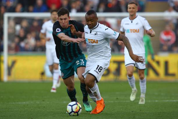 年轻体系注 年轻体系注